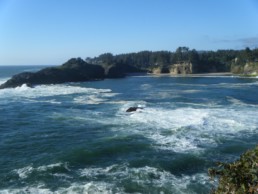 Oregon Coast Scenic Boat Tours | Whale Cove was the location where Sir Francis Drake spent the summer of 1579 during his circumnavigation of the globe by sea.